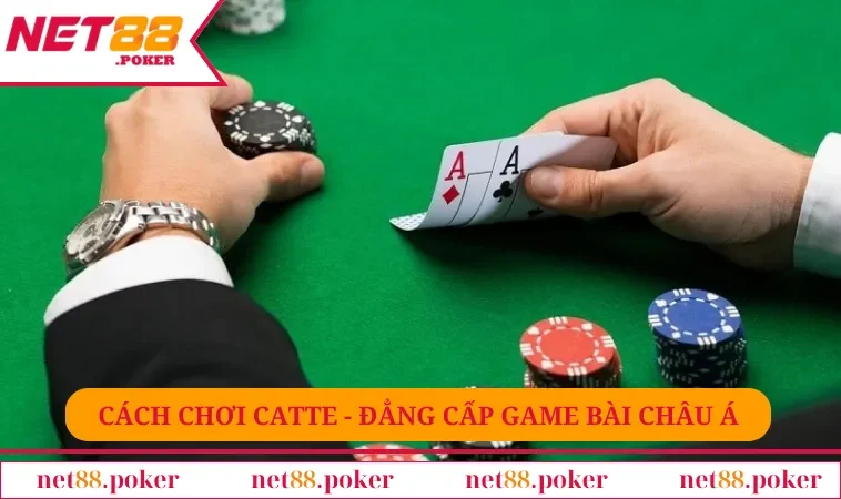 Cách chơi catte