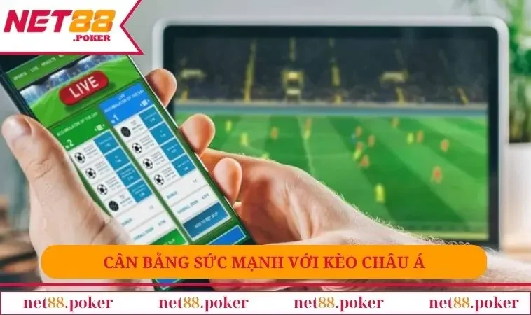 Các Tỷ Lệ Kèo Trong Bóng Đá Cơ Bản Dành Cho Người Mới 1 Cân bằng sức mạnh với kèo Châu Á