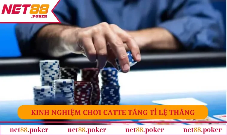 Cách Chơi Catte - Đẳng Cấp Game Bài Hàng Đầu Châu Á 3 Kinh nghiệm chơi catte tăng tỉ lệ thắng