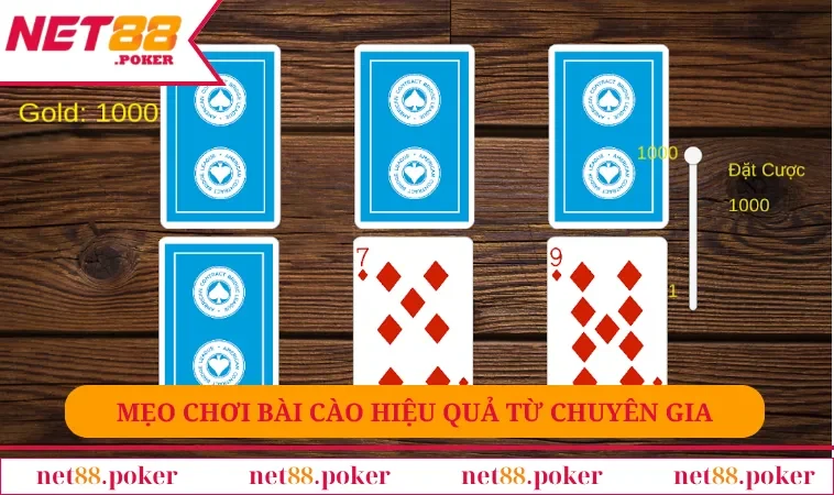 Cách Chơi Bài Cào - Hướng Dẫn Tổng Quan Cho Newbie 3 Mẹo chơi bài cào hiệu quả từ chuyên gia