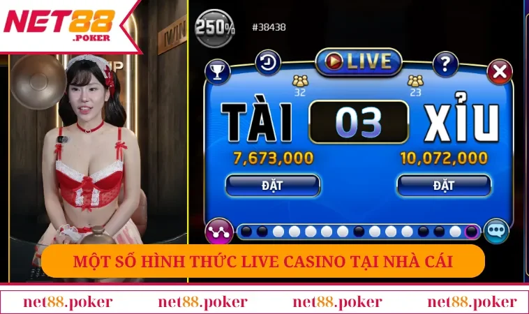Live Casino NET88 2 Một số hình thức live casino tại nhà cái