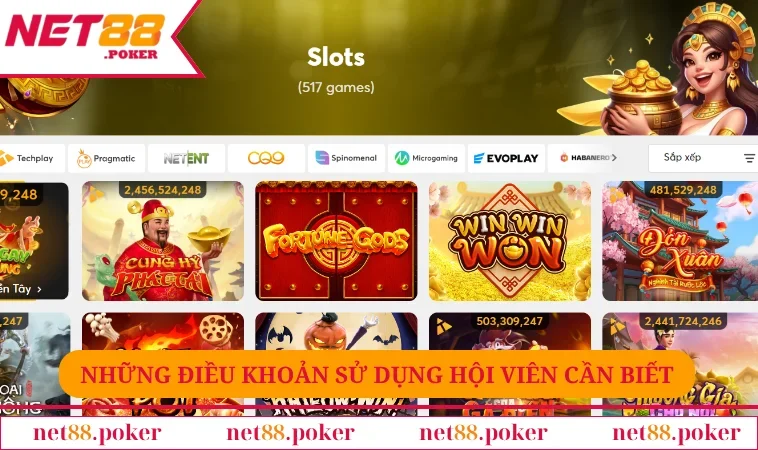 Điều khoản sử dụng NET88 2 Những điều khoản sử dụng hội viên cần biết