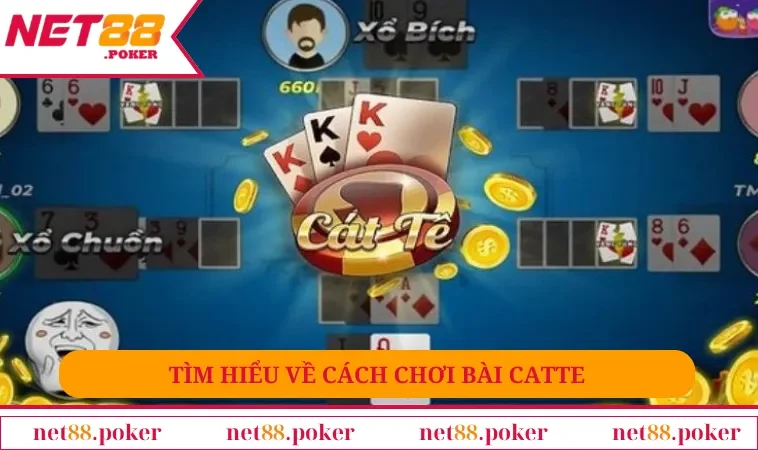 Cách Chơi Catte - Đẳng Cấp Game Bài Hàng Đầu Châu Á 1 Tìm hiểu về cách chơi bài Catte